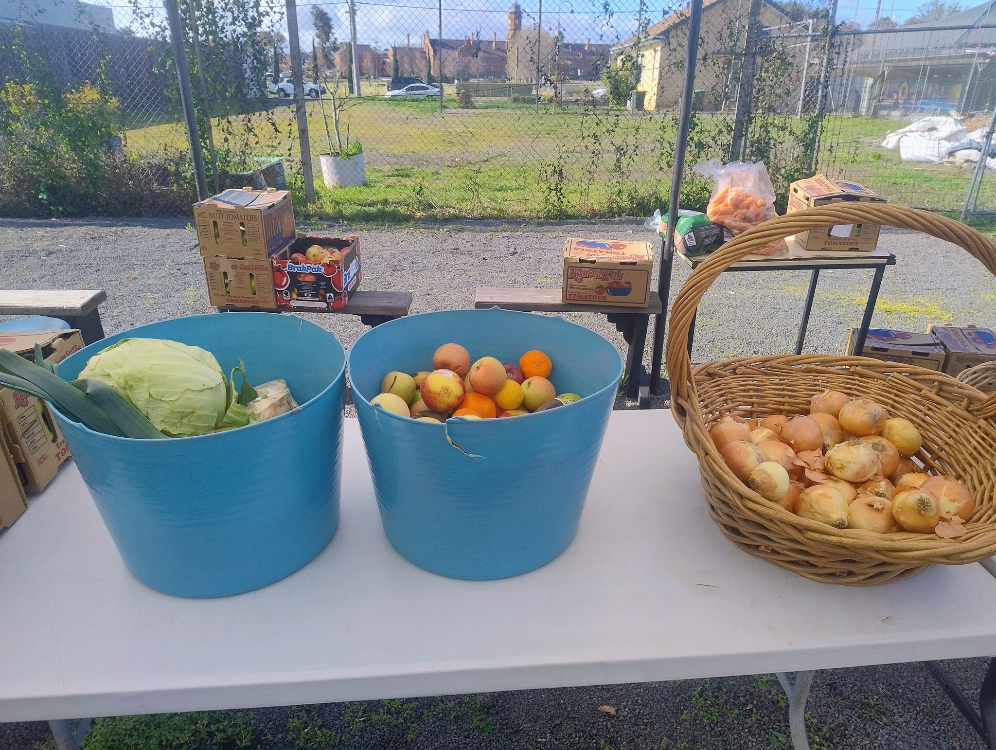 FreshProduce2.jpg